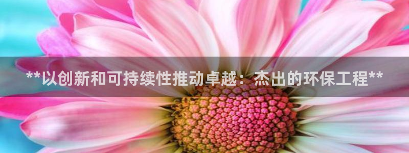 彩名堂手机客户端官网：**以创新和可持续性推动卓越：杰出的环